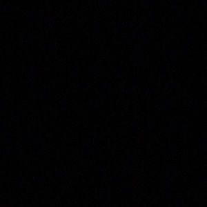 Meet your Posher, Tanner